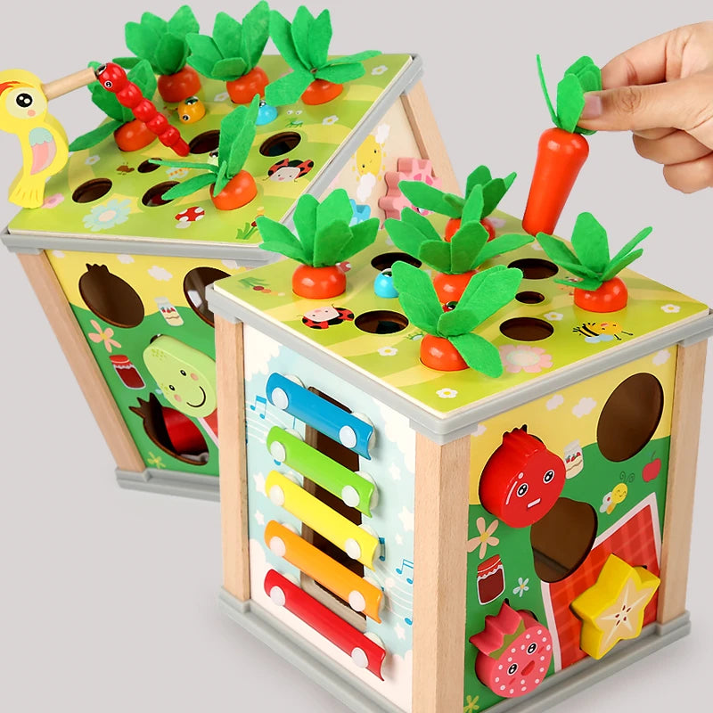 Montessori 9-in-1 Wooden Shape Sorting Toy