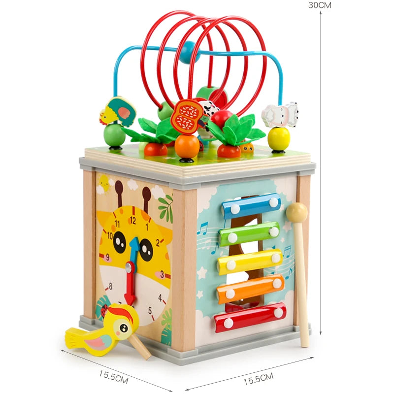Wooden Montessori Early Learning Blocks Toy
