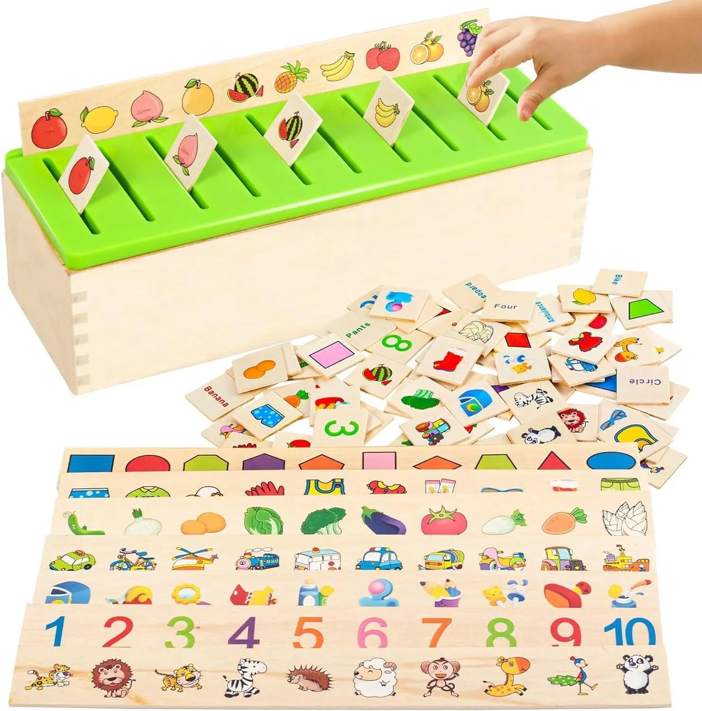 Wooden Montessori Sorting Toys