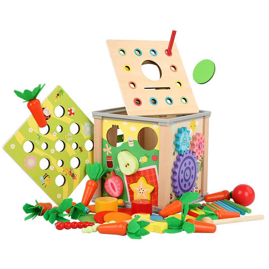 Montessori 9-in-1 Wooden Shape Sorting Toy