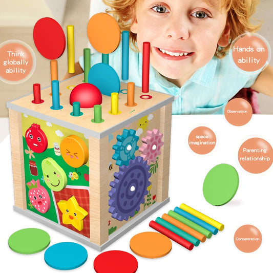 Montessori 9-in-1 Wooden Shape Sorting Toy