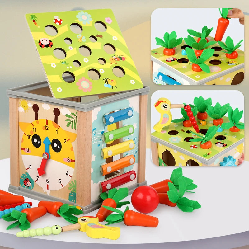 Montessori 9-in-1 Wooden Shape Sorting Toy
