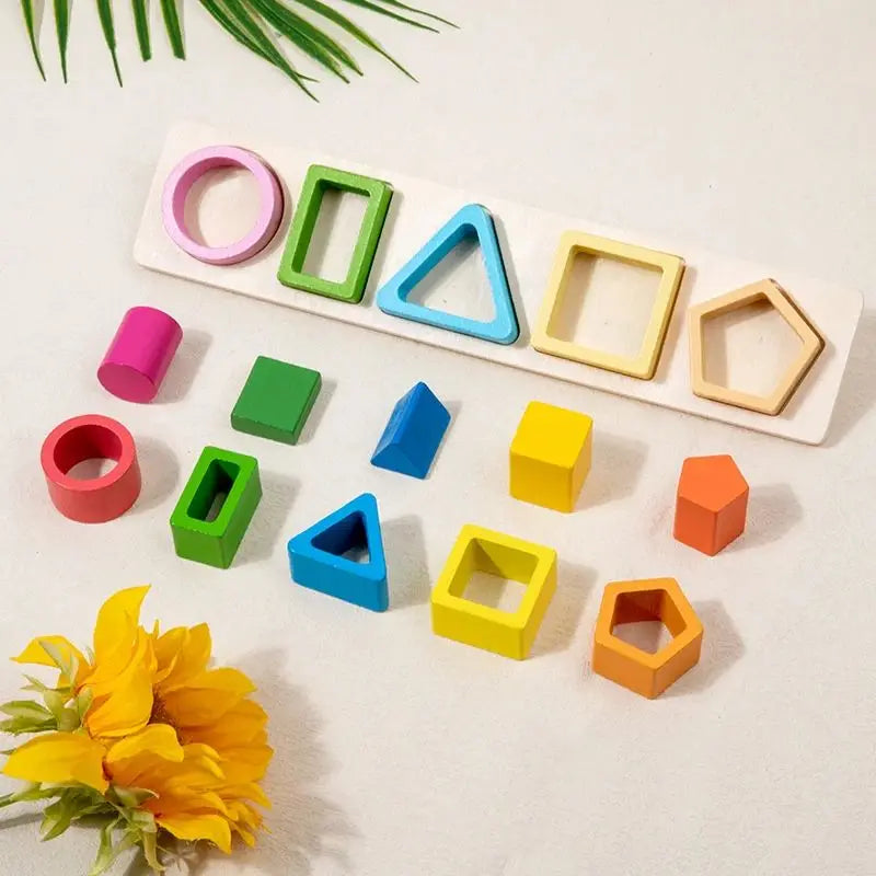 Montessori Wooden Sorting