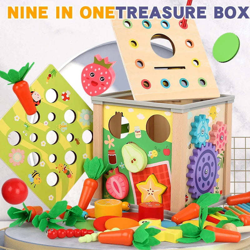 Montessori 9-in-1 Wooden Shape Sorting Toy