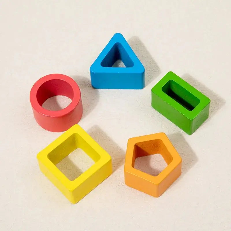 Montessori Wooden Sorting