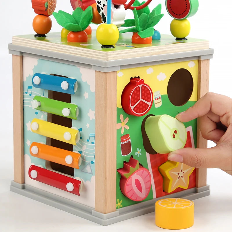 Wooden Montessori Early Learning Blocks Toy